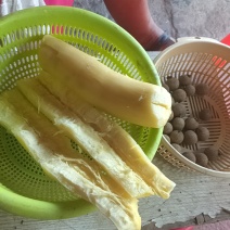 黄木薯
