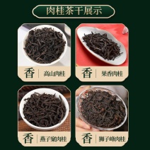 武夷岩茶大红袍茶叶散装正岩果香肉桂茶批发奇兰乌龙茶兰花香