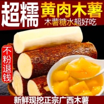 2025现货黄肉木薯华南9号木薯黄心木薯糖水店同款代发