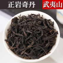 纯种母树大红袍奇丹茶叶批发正岩坑涧乌龙茶