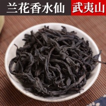 武夷岩茶兰花香水仙茶叶厂家批发醇香型