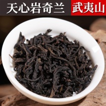 新茶天心岩花香奇兰茶叶批发武夷岩茶厂