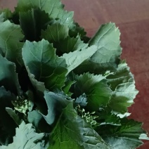 青菜苔