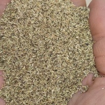 河南南阳艾草二渣，植物饲料供应饲料厂，常年有货