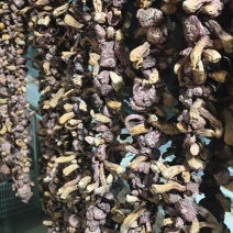 内蒙古赤峰市，肉磨，红蘑，松树伞，松蘑烤干，风干，焯水，