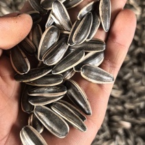 食葵同欣3367