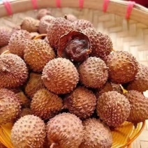 桂味荔枝干，核小肉厚，烘干，甘甜回味无穷