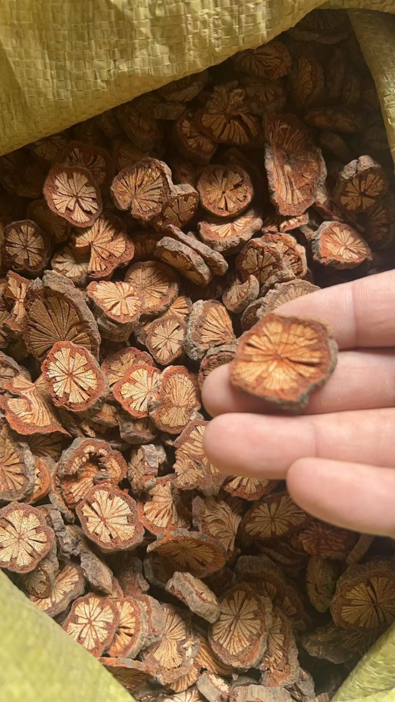 红藤中药材红藤片小血藤粉小血藤小血通血塞通