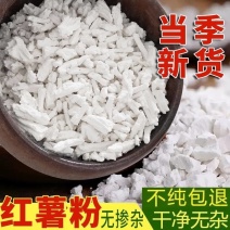 当季红薯淀粉预售