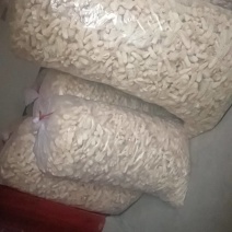 贵州红托竹荪干货出售1\