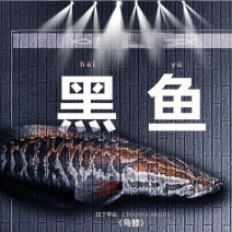 黑鱼乌鱼生鱼珠三角专业养殖基地全年**全国1~6斤统货