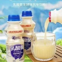 340乳酸菌塑包12瓶6元厂家发货