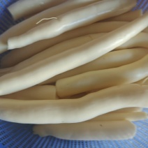 华南九号木薯