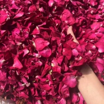 墨红玫瑰花瓣玫瑰花瓣新花大片完整各种花瓣冻干花瓣烤干花瓣