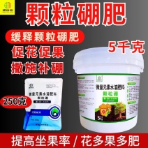 颗粒硼肥缓释型颗粒剂促花果提高座果率沟施撒施持效期久