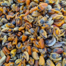 海虹干，淡菜干，干度好，个头大，做菜煲汤皆可