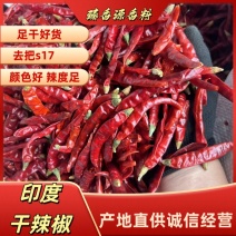 印度s17魔鬼椒剪把带帽足干精品特辣纯印度椒