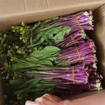红菜苔