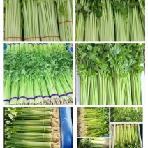 香芹