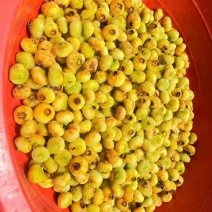 鲜果刺梨