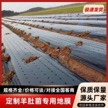 羊肚菌专用膜黑色打孔膜各种农用地膜支持定制