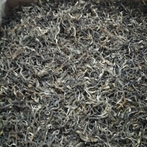 成片古树茶