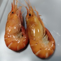 液氮速冻罗氏虾金钱虾高邮大虾蒸煮虾生冻虾