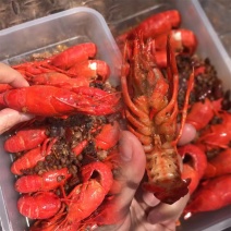 好味源麻辣小龙虾9元整箱650g*10盒长沙麻辣小龙虾加