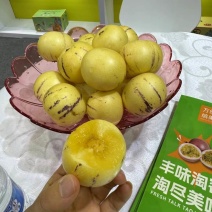 云南石林人参果电商供应链