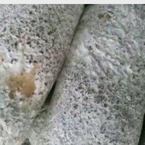平菇菌棒熟料栽培产量高带出菇圈欢迎新老客户采购
