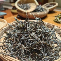 古树普洱茶