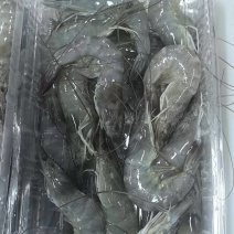 厂家直供东海直捕海虾：肉质Q弹，鲜味直达