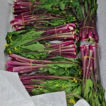 红菜苔大量上市