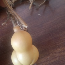 金蝉葫芦皮质嘎嘎好
