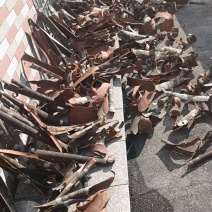桂皮