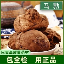 马勃中药材冷背中药材大全批发零售货真价实质检合格