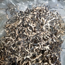 足干木耳丝电商好货纯丝木耳丝加工厂毛木耳丝白背黑木耳丝