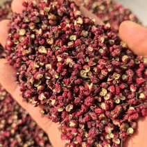 汉源花椒（贡椒）红花椒/香味浓郁/麻味醇和/很麻很香
