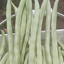 白豆