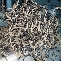 优质木耳丝电商长木耳丝纯丝无根足干木耳丝大量供应木耳丝丝