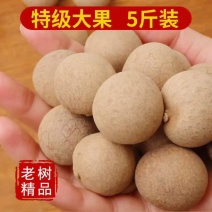 厦门桂圆干--肉厚，皮薄，甜度高。特大果