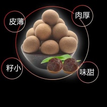 桂圆干-甜度高，肉厚，皮薄，低价出售