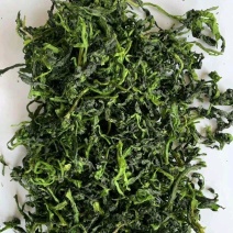 脱水万年青长期合作饺子包子连锁店食品厂