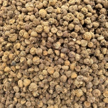 刺梨常年有货源实图拍摄物美价廉有现货