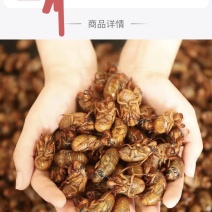 金蝉