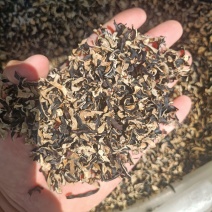 电商用木耳丝碎木耳丝1-2公分短木耳丝便宜木耳丝足干木耳