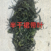 半干裙带菜，纯绿嫩菜叶，翠嫩丝滑爽口，高泡发率1斤泡4斤