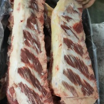 带肉牛胸骨