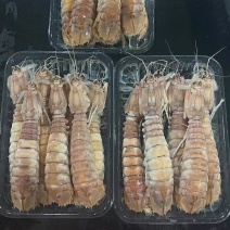 北海活煮皮皮虾熟冻皮皮虾