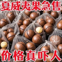 新货大颗粒奶油味夏威夷果各大电商一件代发（批量拿货）